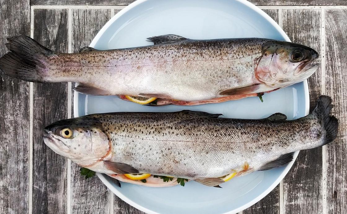 Как правильно потрошить свежую рыбу