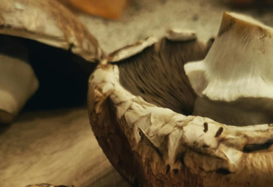 Нужно ли чистить шампиньоны и мыть?