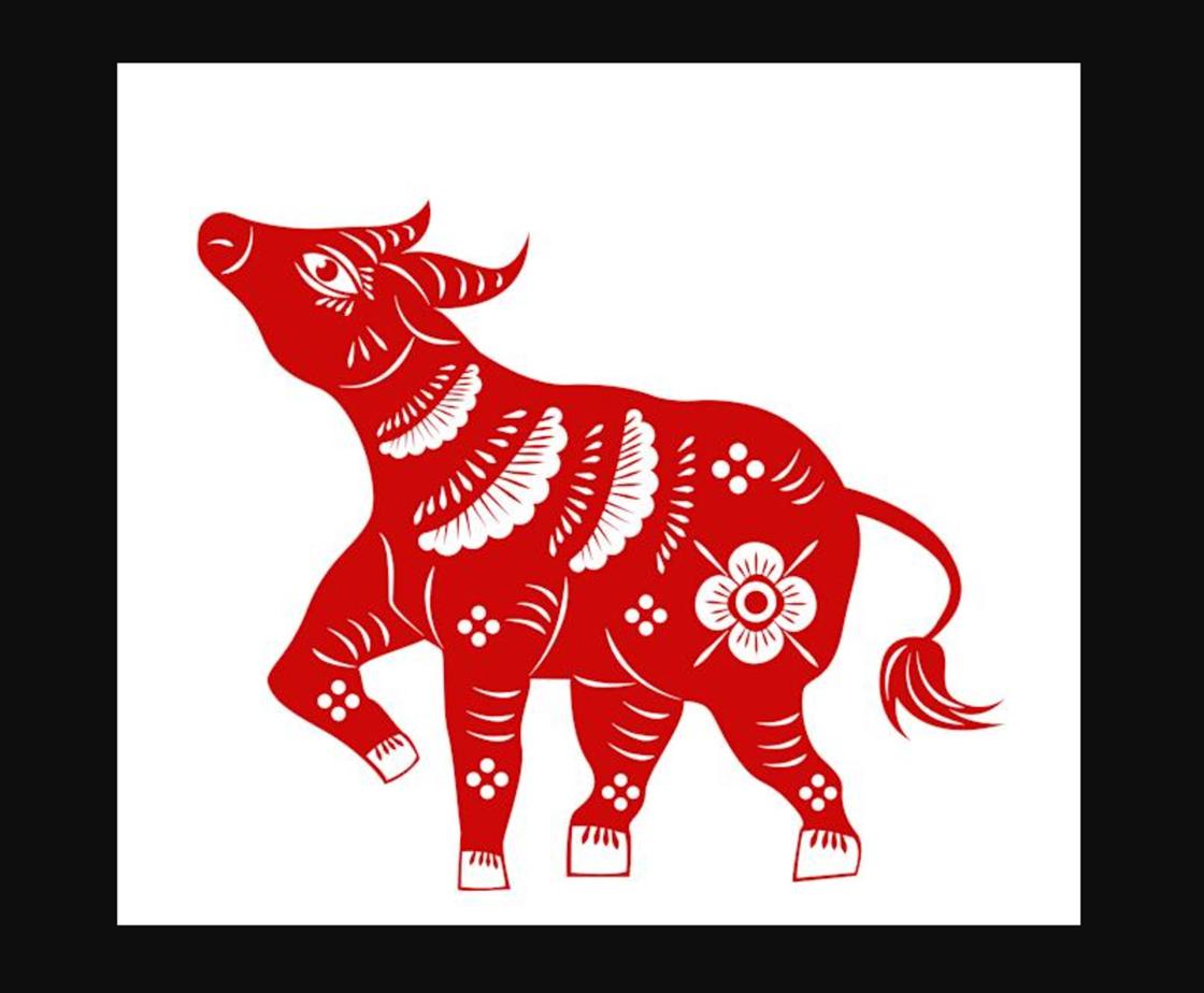 Общая характеристика года Быка