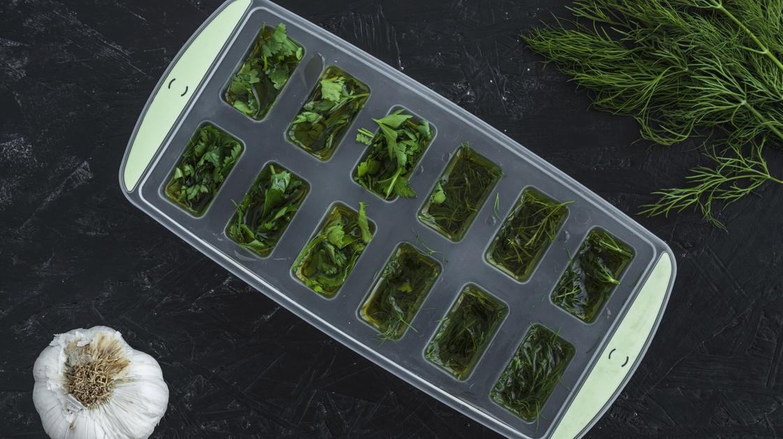 Зелень хранение как продлить свежесть листьев в холодильнике и вне его Как замораживать и сушить зелень