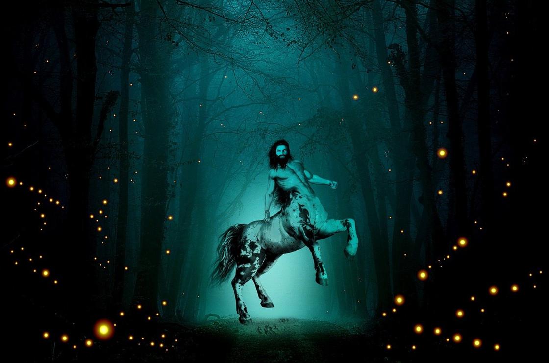 Общая характеристика Стрельца