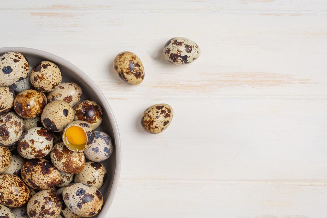 Перепелиные яйца: польза, свойства и зачем включать в меню Содержат много белка