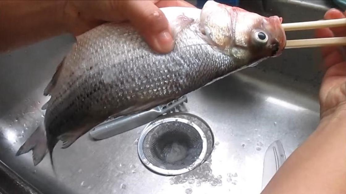 Как потрошить форель