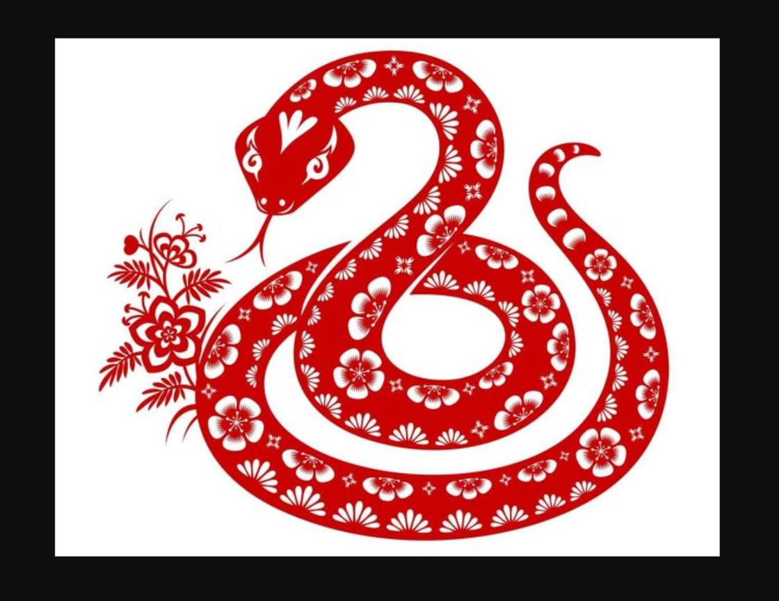 Общая характеристика года Змеи