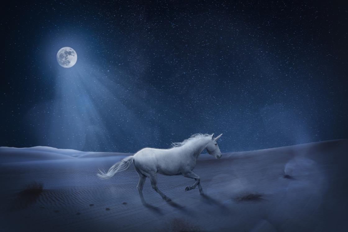 Подкова над дверью — символ удачи