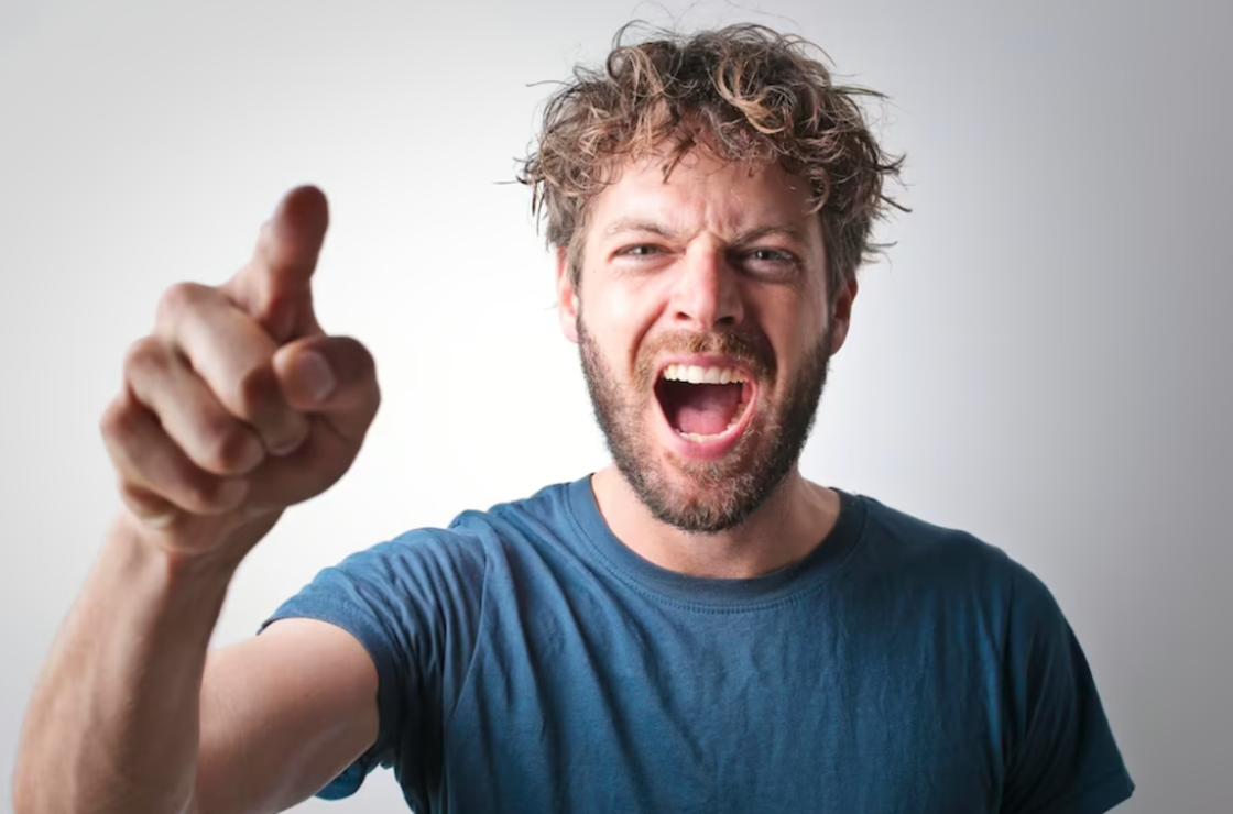 Лев в вашем сне: проявление силы характера или угроза авторитета Исламский сонник