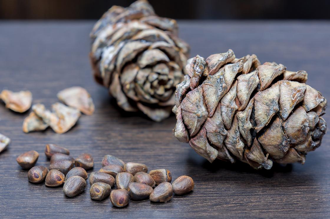 Состав и польза кедровых орехов