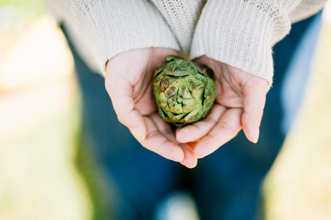 Продукты при запоре: что есть для улучшения пищеварения Артишоки