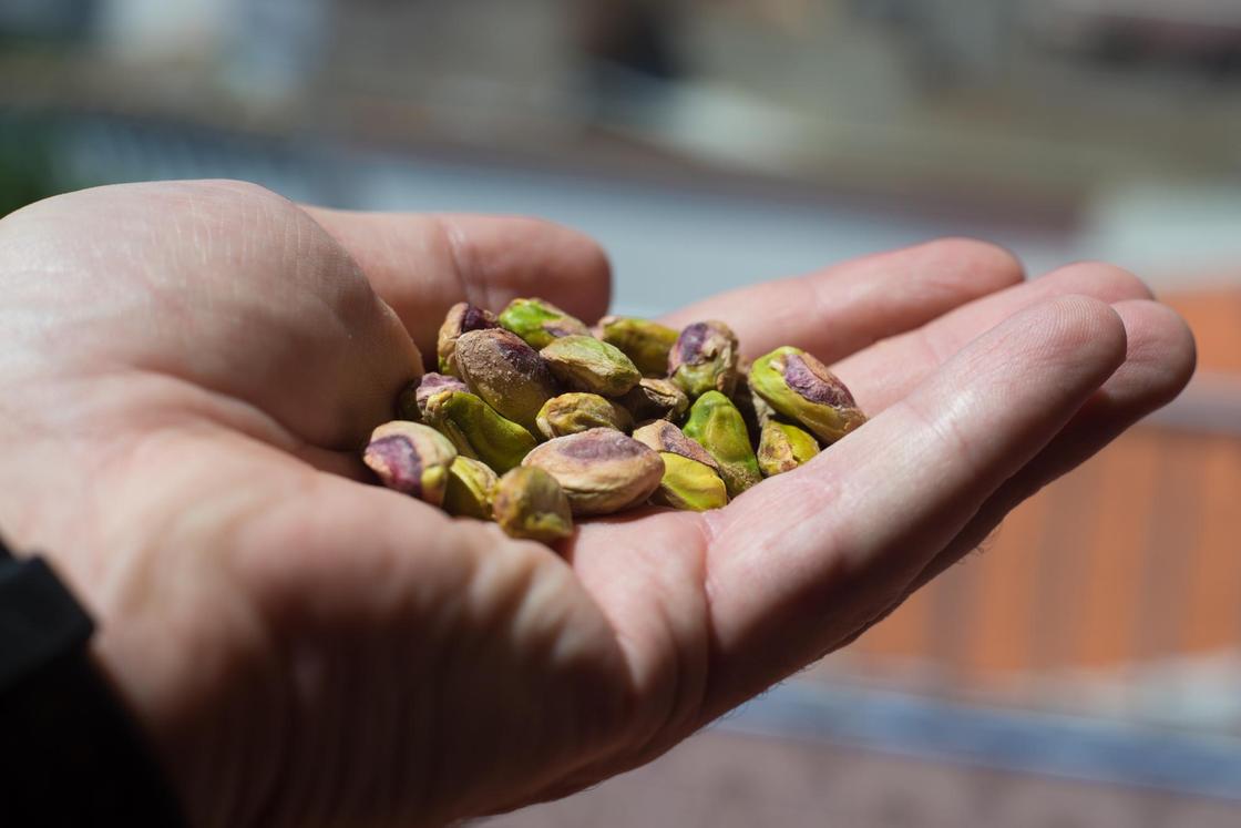 Фисташки: как орехи влияют на вес, пищеварение и уровень холестерина Чем полезны фисташки