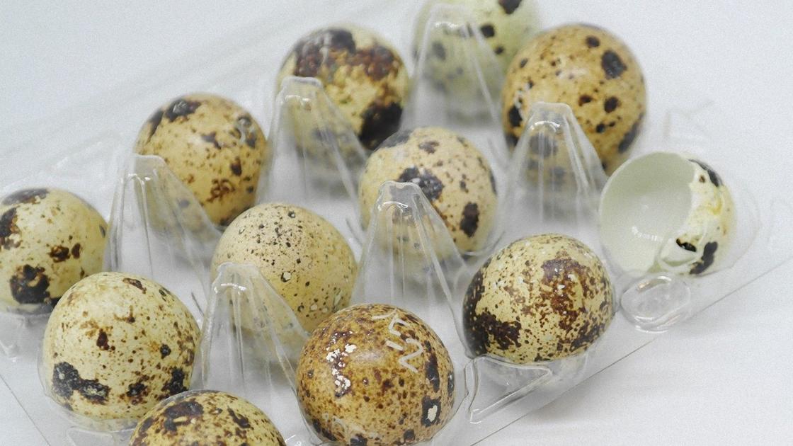 Как варить перепелиные яйца: точное время и советы Сколько и как варить перепелиные яйца