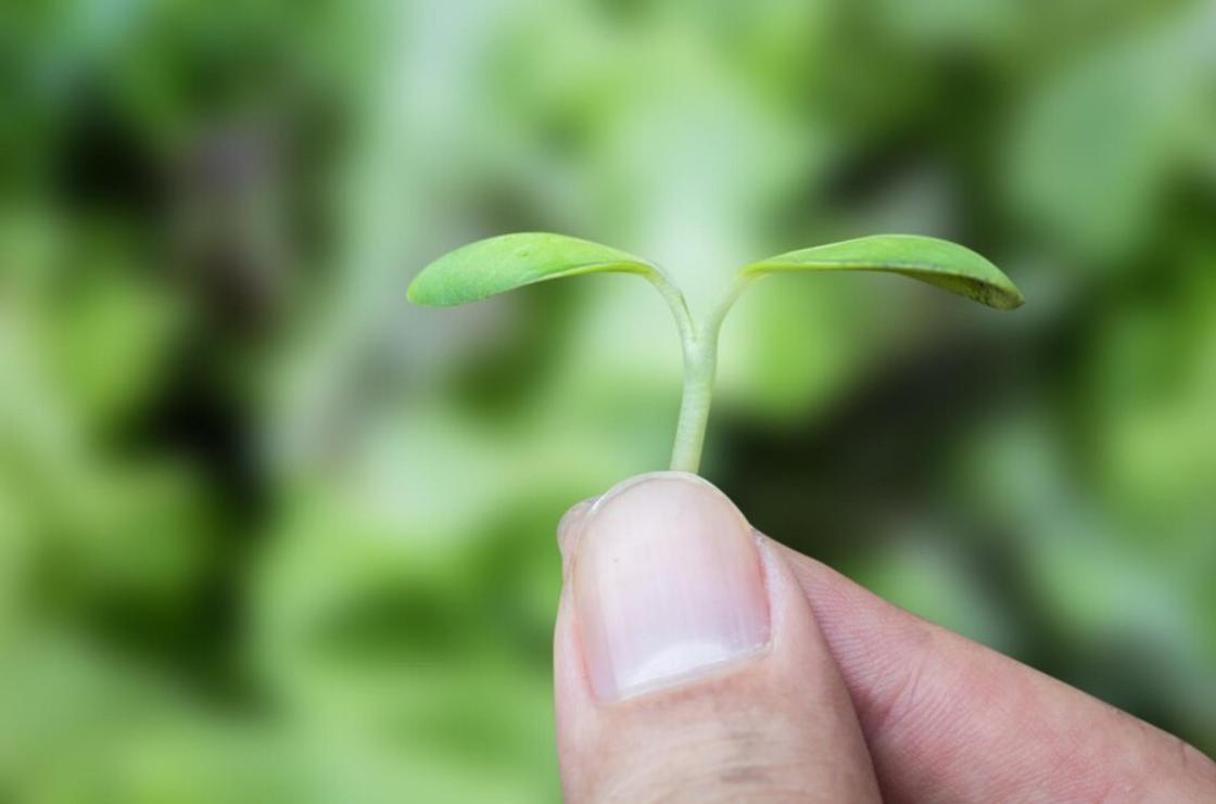 Как планеты 2025 года повлияют на вашу жизнь и что прогнозирует Сьюзан Тейлор Характеристика символа года