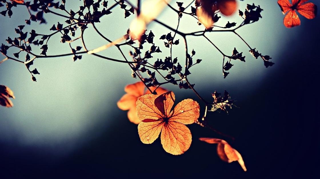 Приметы на погоду