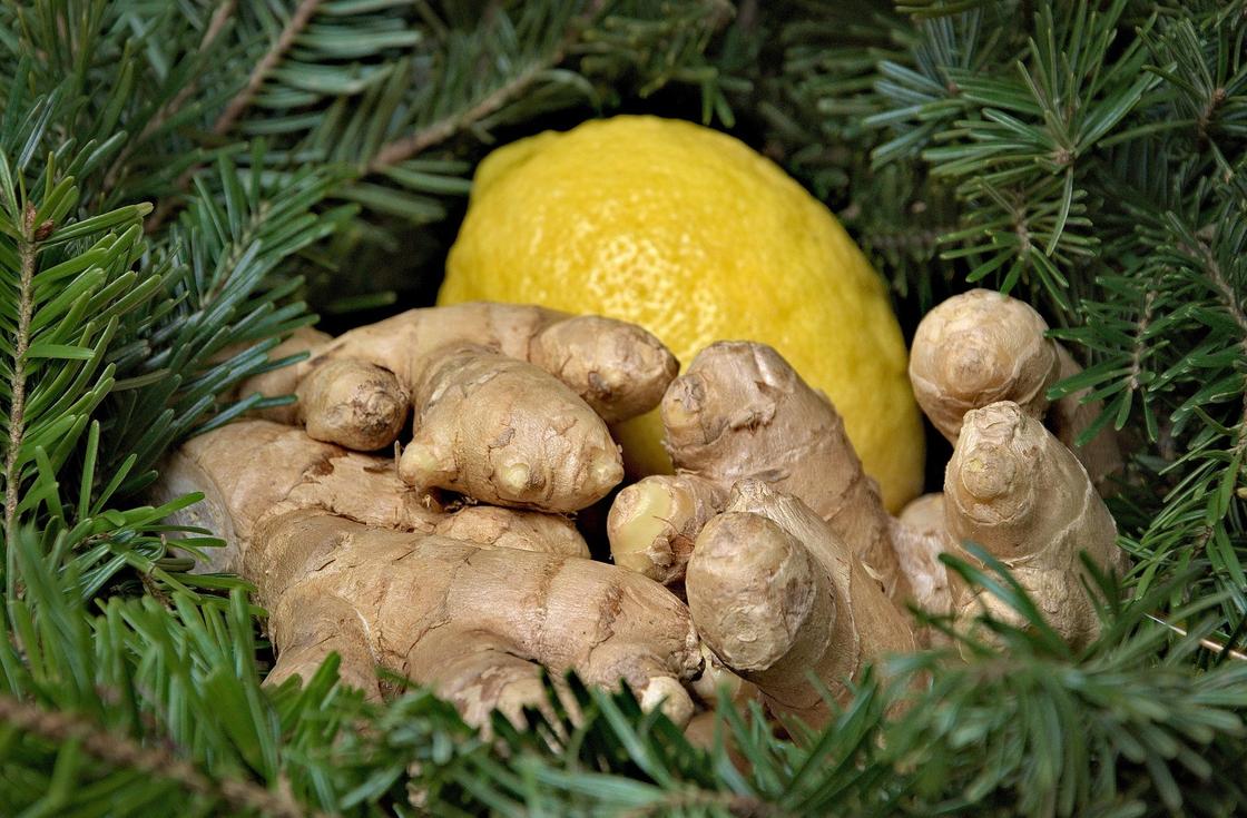 В чем польза имбиря?