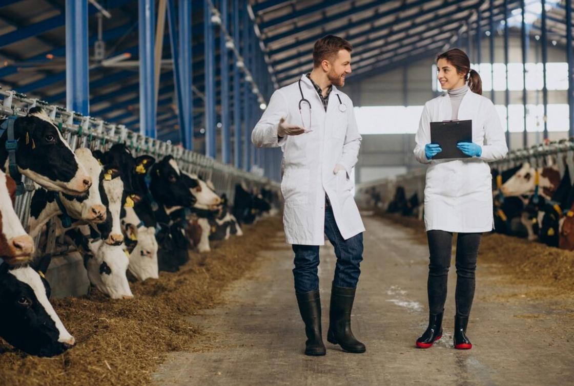 Совместимость Девы и Козерога в дружбе и профессии