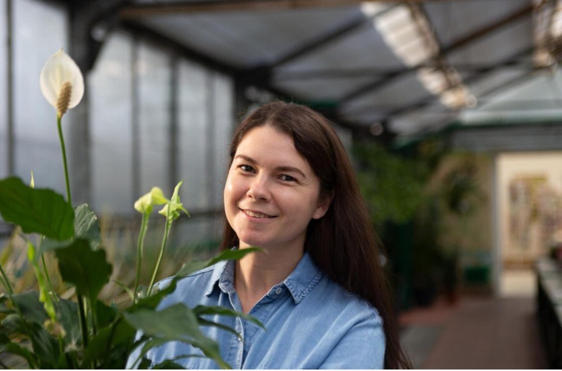 Спатифиллум: приметы и энергетическая сила цветка женского счастья Приметы о спатифиллуме для одиноких людей