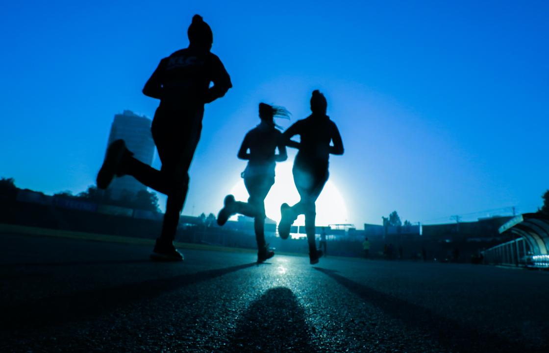 Описание, состав, калорийность гематогена