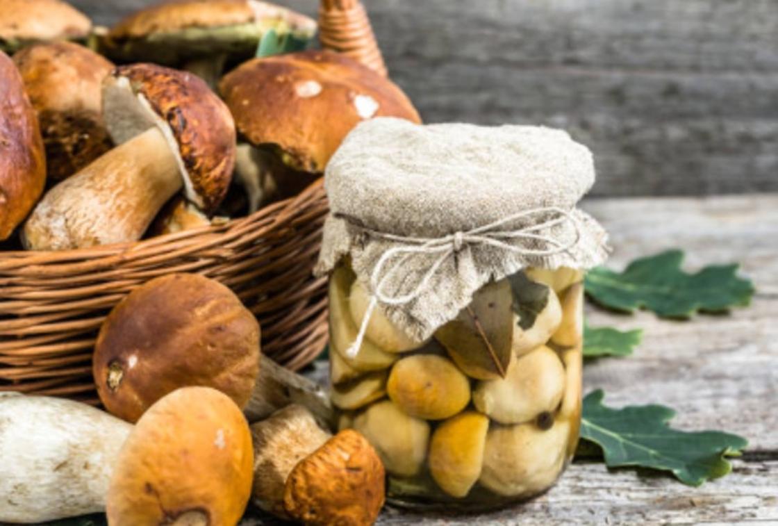 Маринованные грибы на зиму: лучшие рецепты и советы по заготовке Маринованные белые грибы