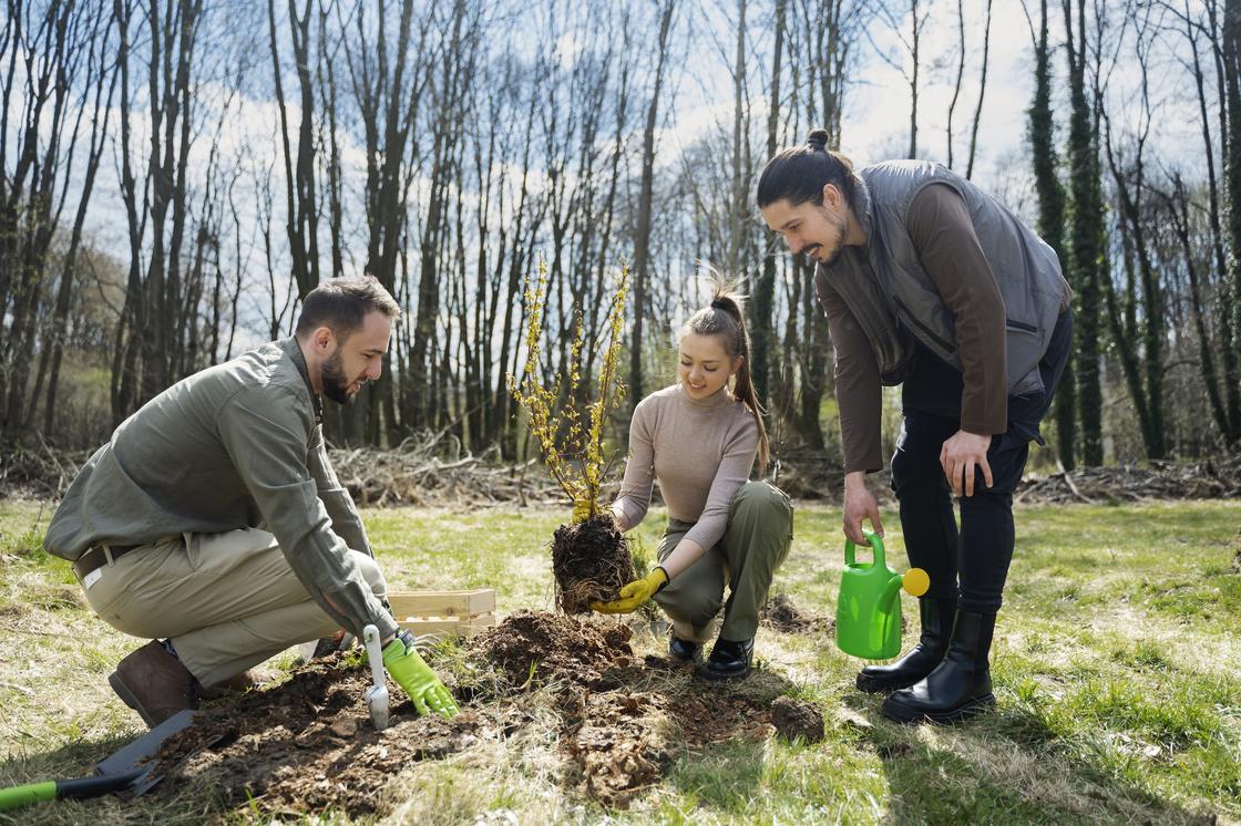 Цыплята в сновидении: предвестники забот хлопот и радостных событий Сонник Феломена