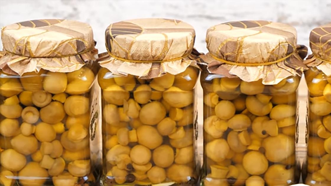 Маринованные грибы на зиму: лучшие рецепты и советы по заготовке Маринованные шампиньоны без стерилизации