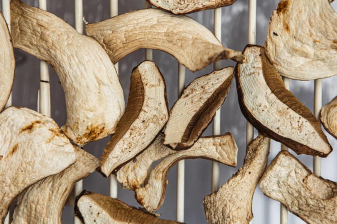 Сушка грибов изучаем способы сохранить урожай на долгую зиму Как сушить грибы в духовке