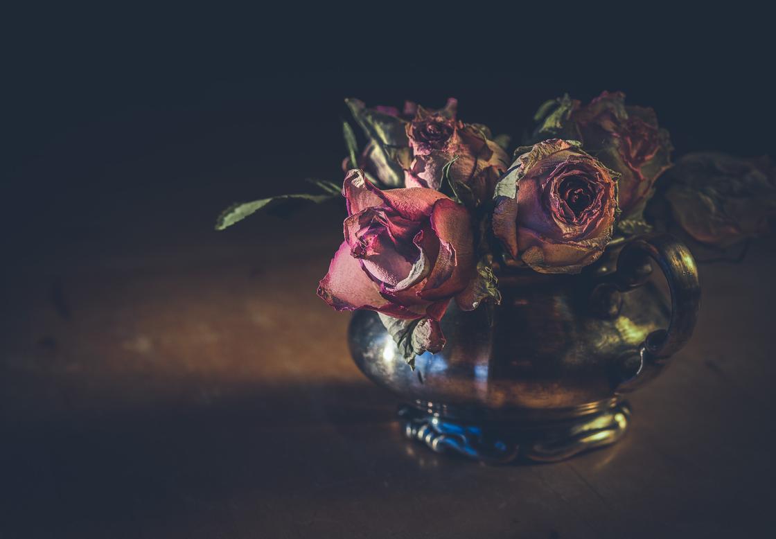 Розы в сновидениях: значение цвета бутонов и чувства сновидца Сонник Ванги