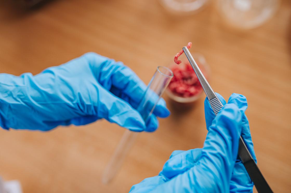 Искусственное мясо выращивают из клеток животных