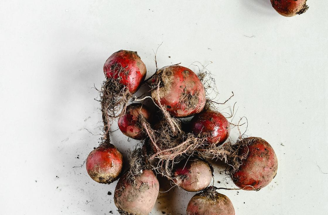 Сбор моркови и свёклы: сроки и советы по хранению Когда убирать свеклу и как ее хранить