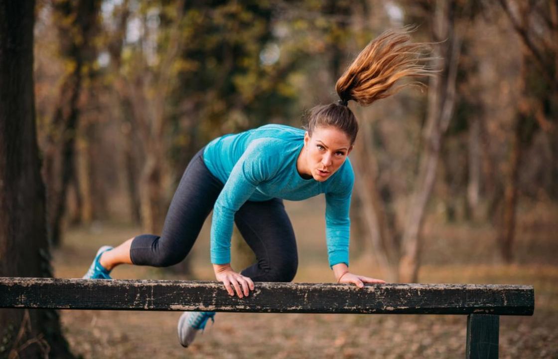 Сонник Хассе