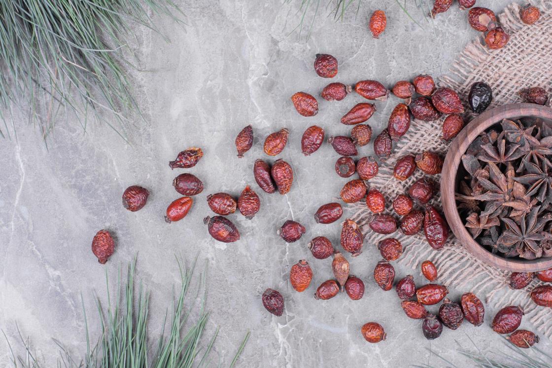 Чем полезен шиповник