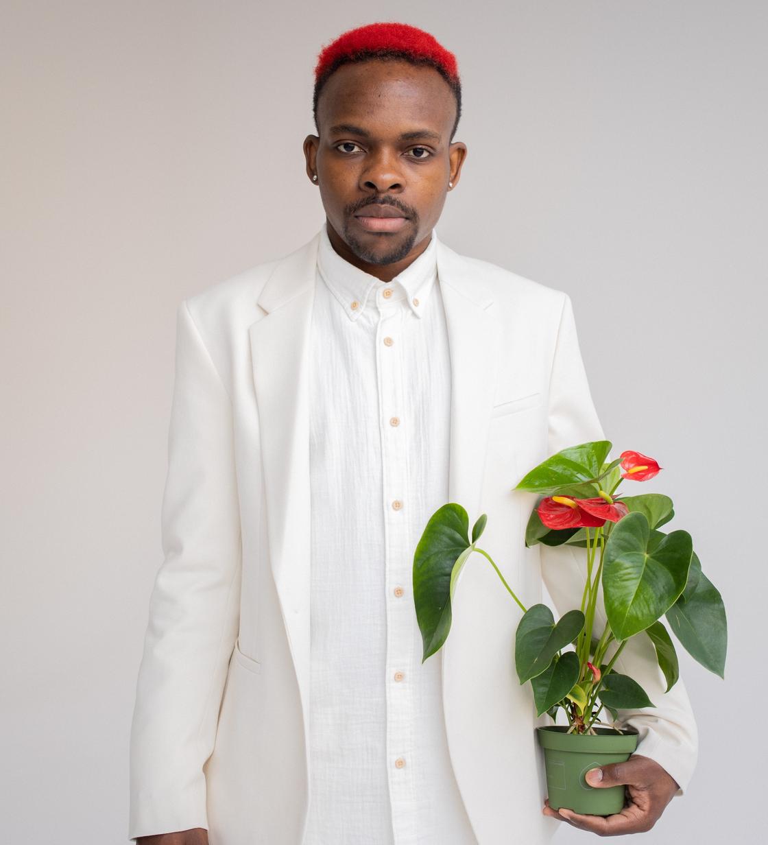 Антуриум: цветочная магия для любви счастья и богатства Почему антуриум называют «Мужским счастьем»?