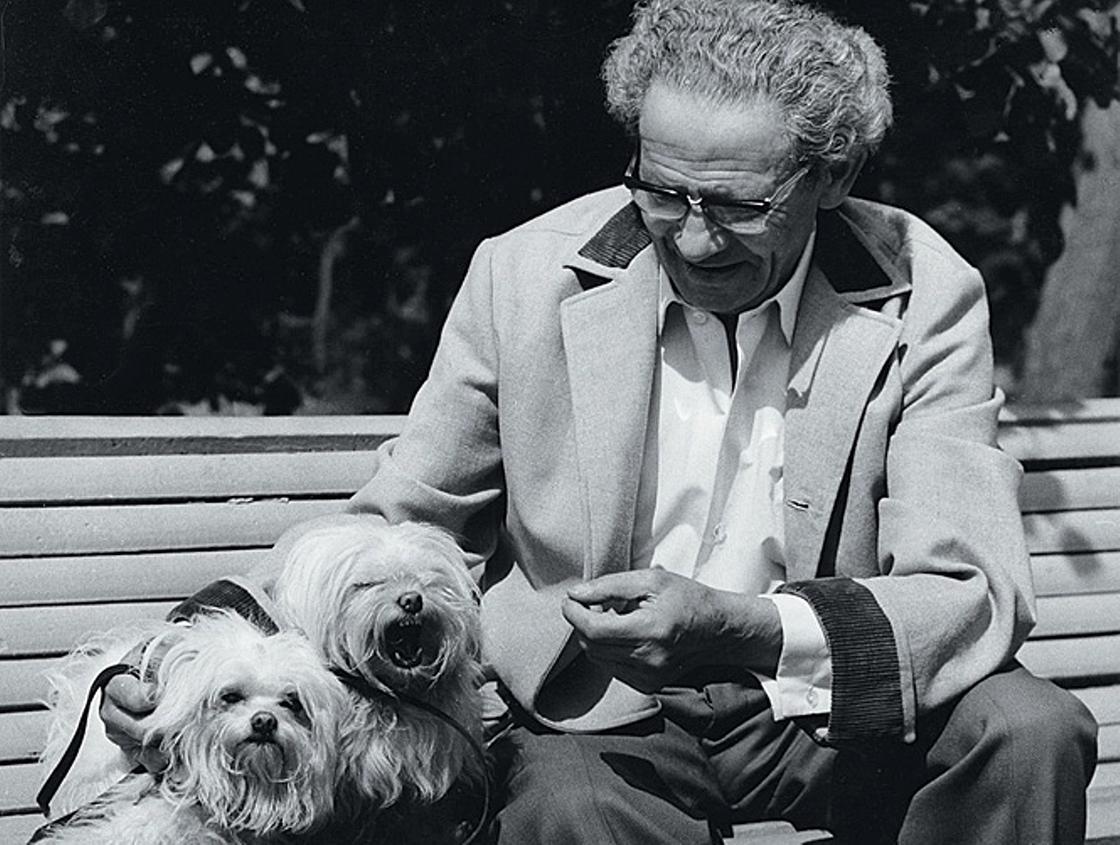 «Ошибочное» предсказание