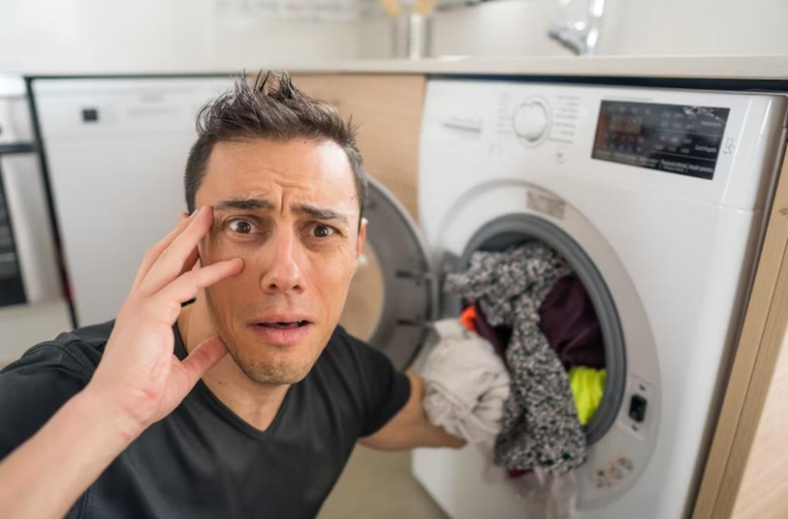 Осы во сне: предупреждение об угрозе или агрессии извне Сонник Юноны