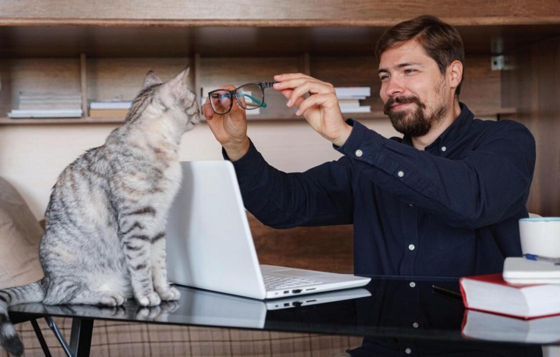 Преобразовывают отрицательную энергетику