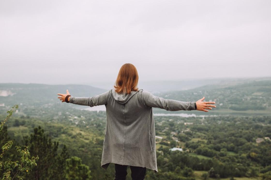 Мертвая божья коровка — тревожный знак