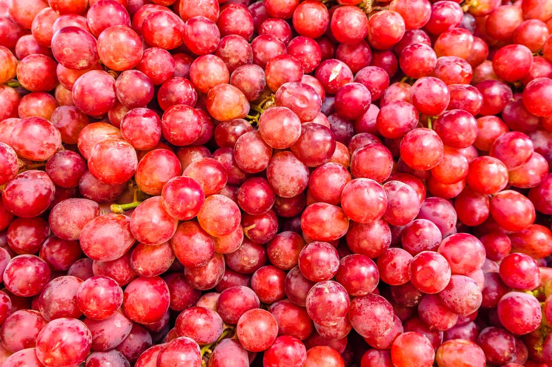 Виноград: чем полезен фрукт и в каких случаях лучше ограничить Состав и польза винограда
