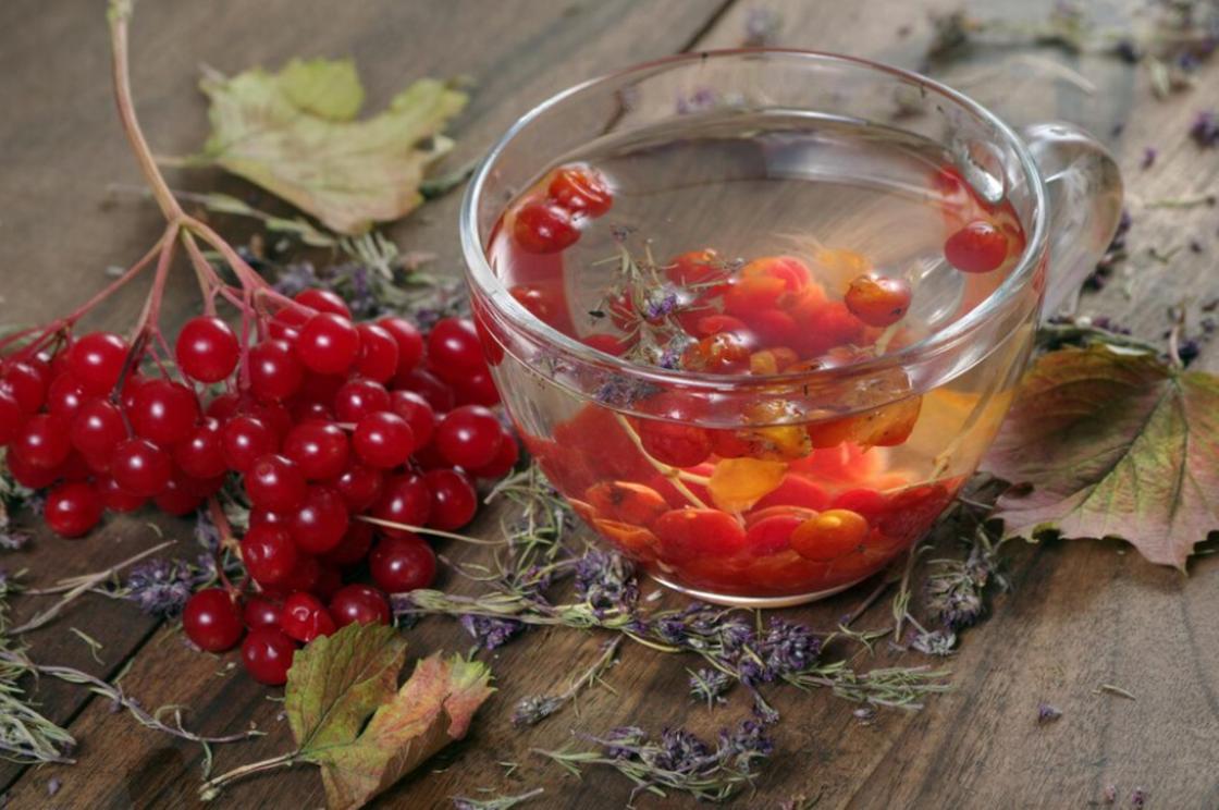 Как применяют калину