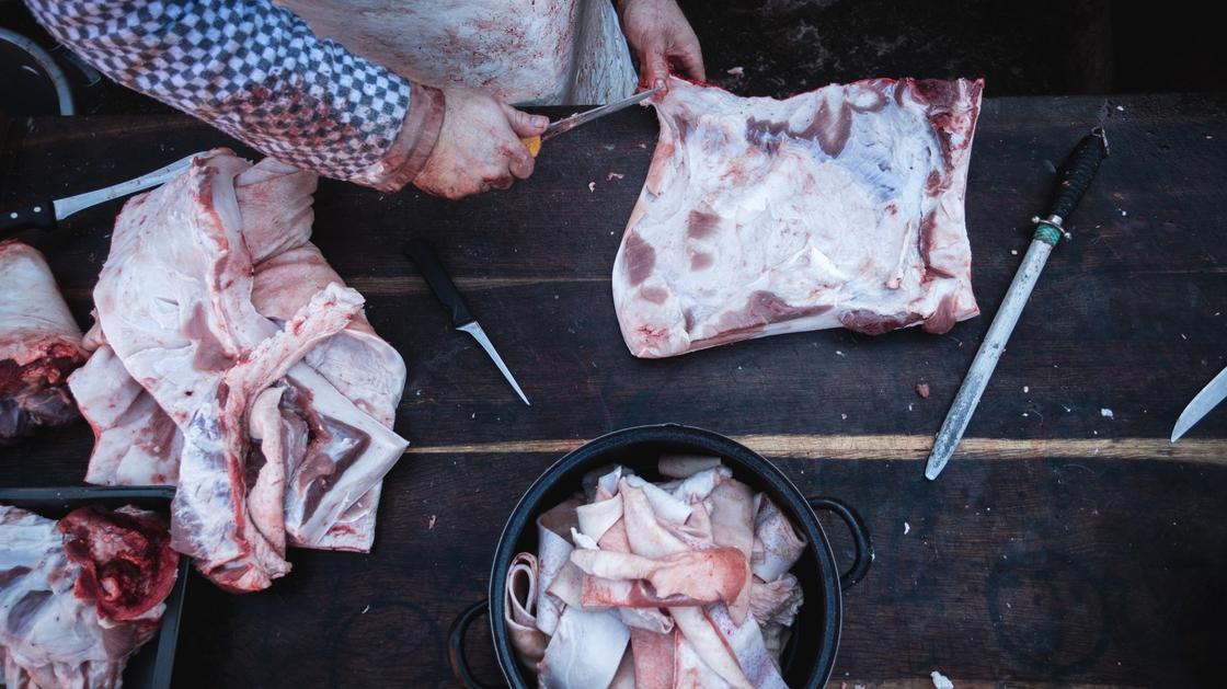 Как появился хаукарль