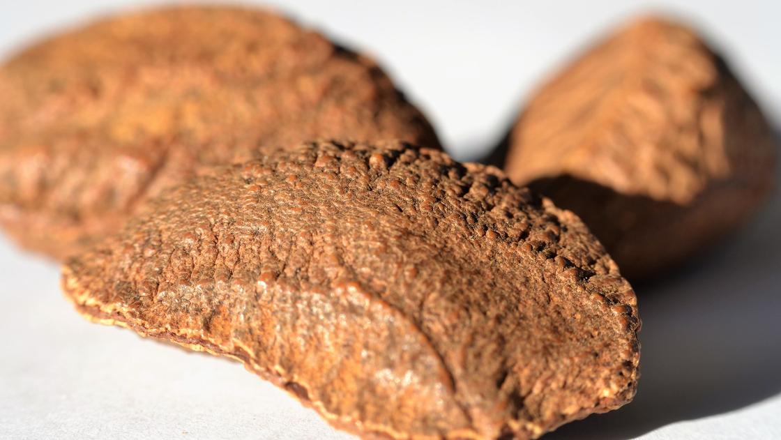 Польза и состав бразильского ореха