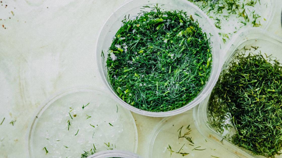 Замораживание измельченного укропа в пластиковом контейнере