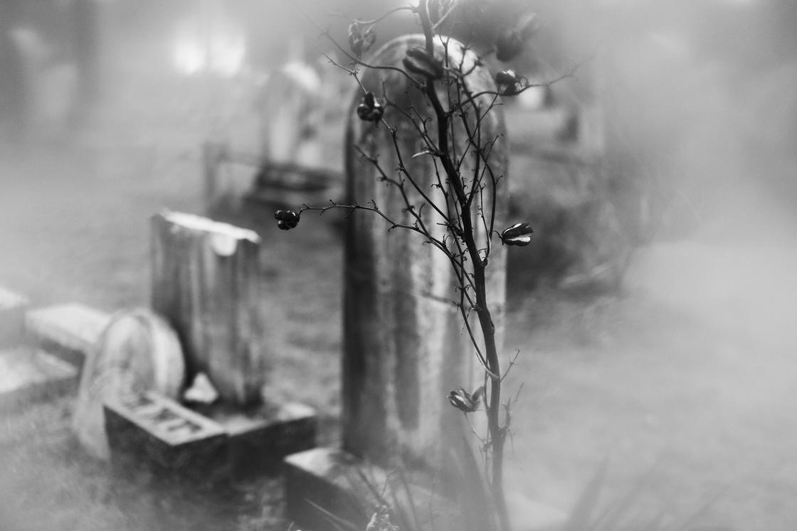 Призраки: мнение эзотериков и учёных о возможности наблюдения Духов делят на виды