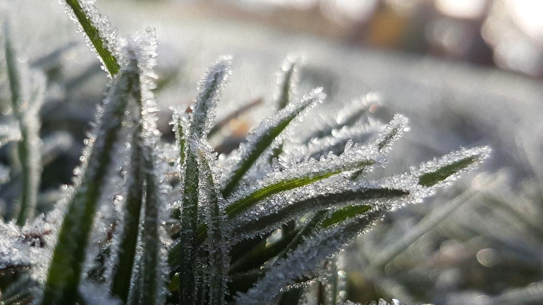 Осенние приметы-прогнозы на зиму