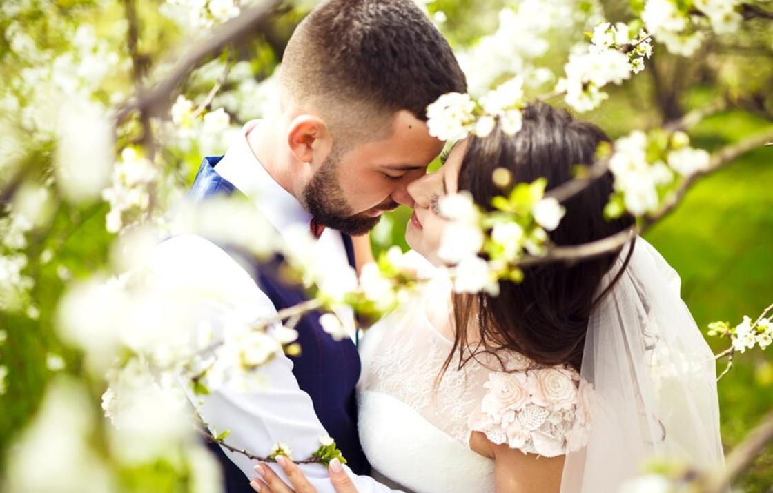 Сонник Цветкова