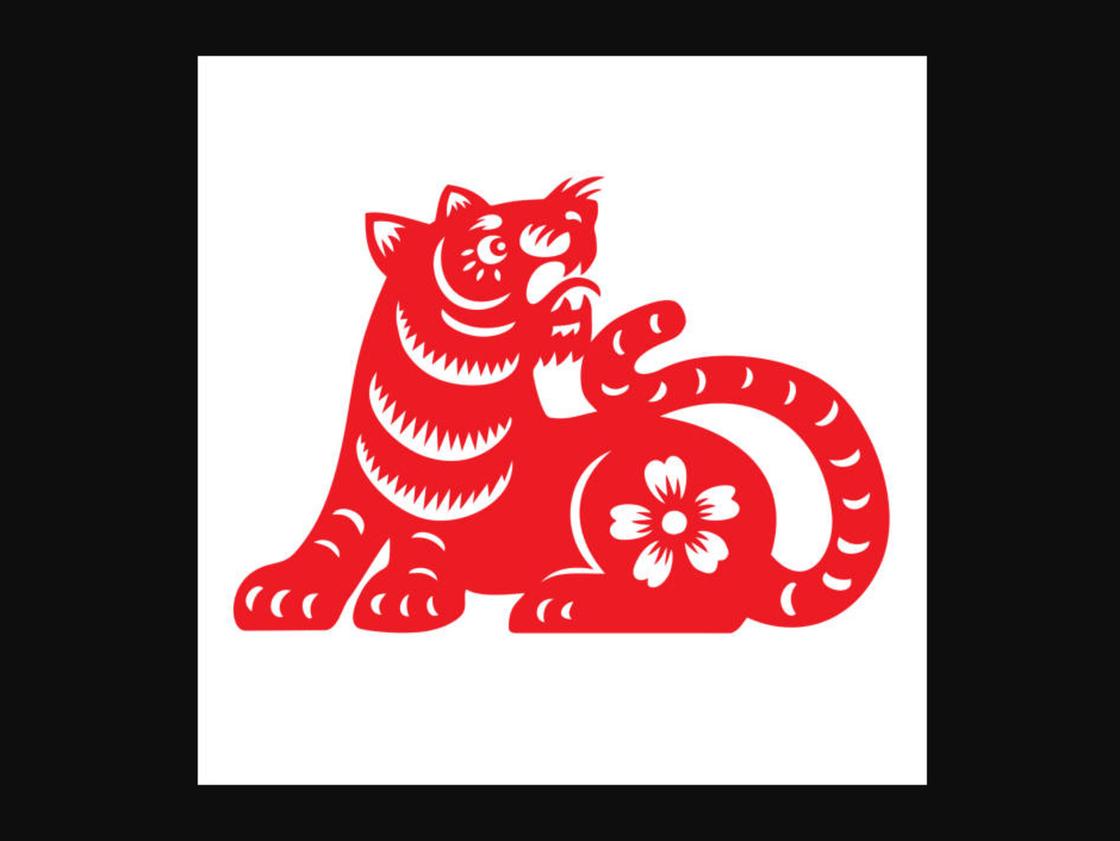 Общая характеристика года Тигра