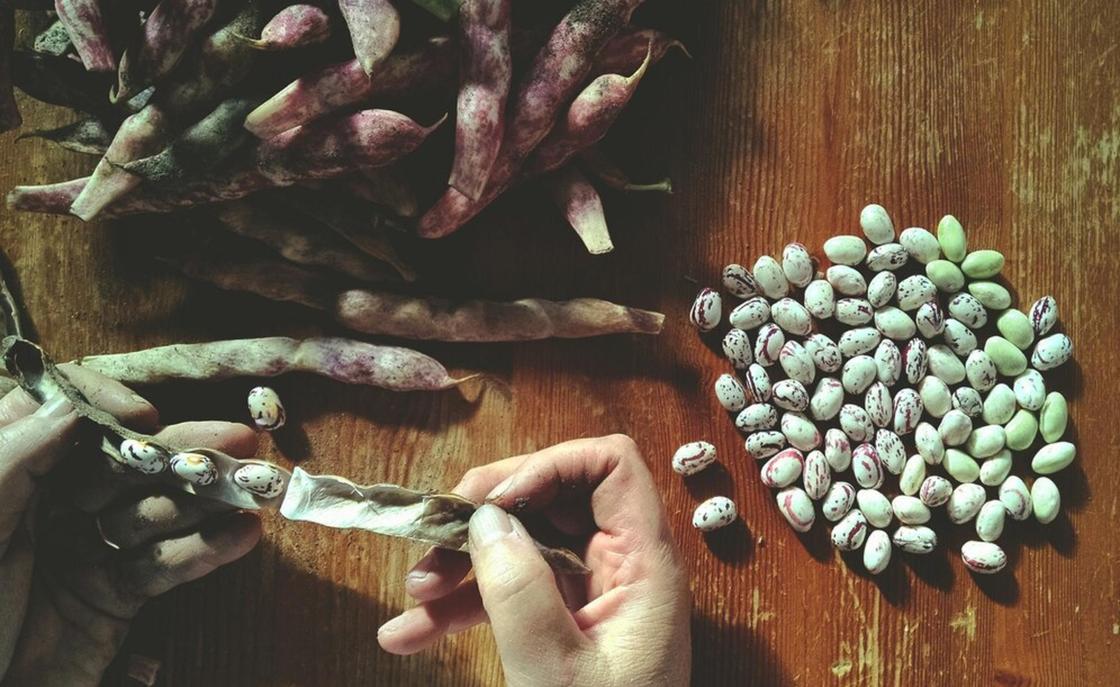 Гадание на бобах