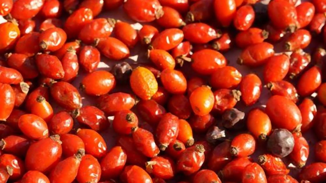 Каких пропорций придерживаться