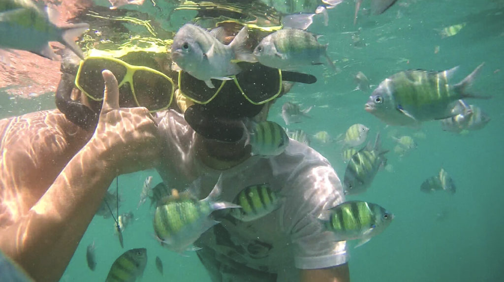 4-island-tour-krabi-thailand-Schnorcheln