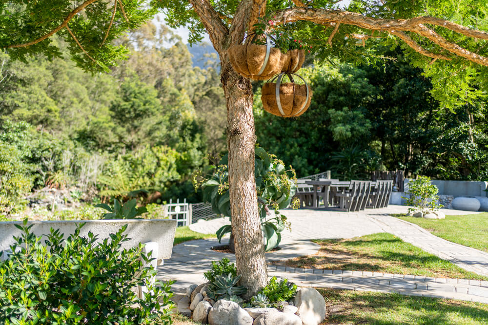A-Riverbed-Guesthouse-Swellendam_1