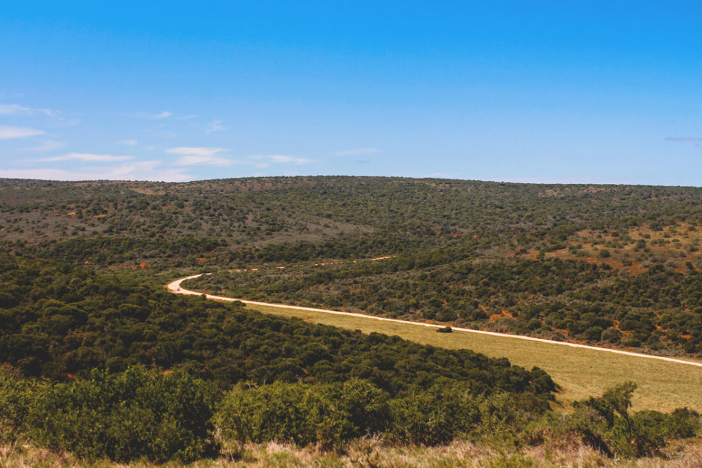 Addo-Elephant-Park-Suedafrika-Aussichtspunkt