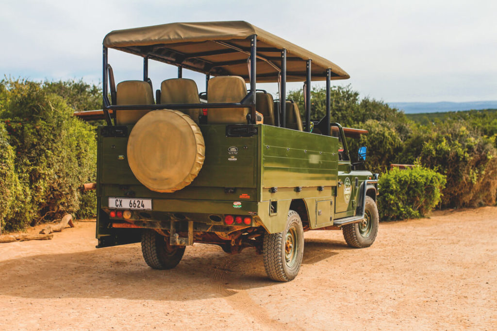 Addo-Elephant-Park-Suedafrika-Tour-Jeep-Game-Drive