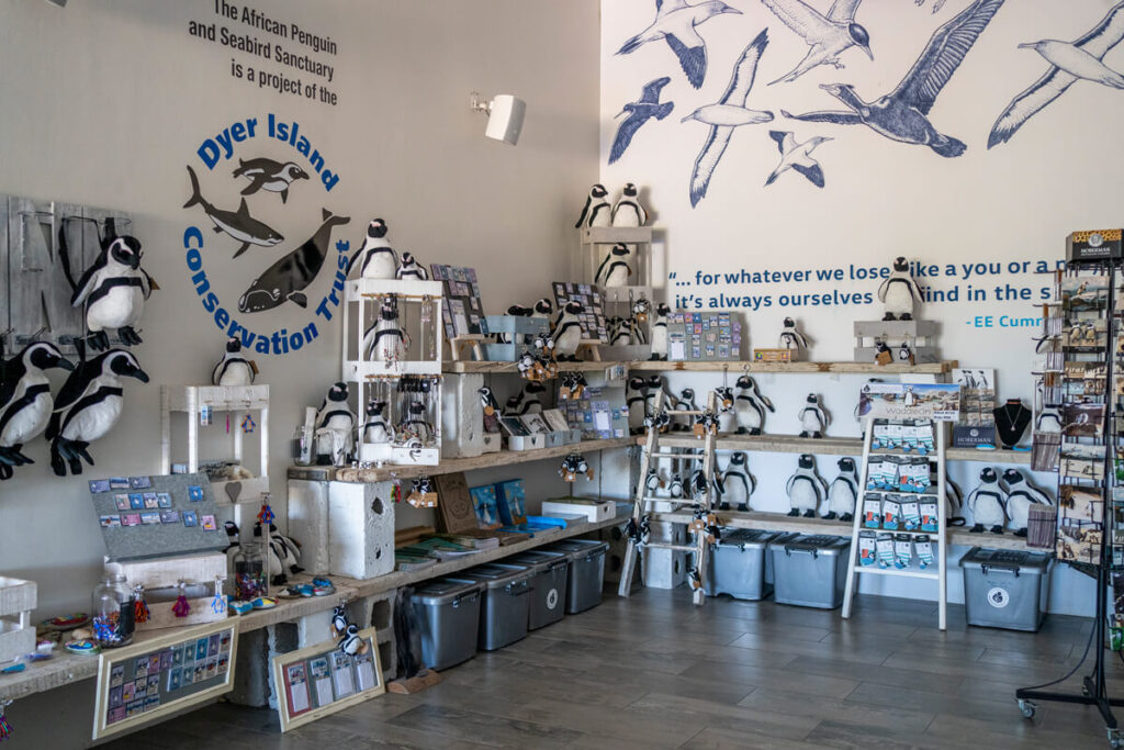 African Penguin Seabird Sanctuary